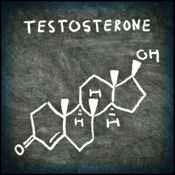 Extra Testosterone