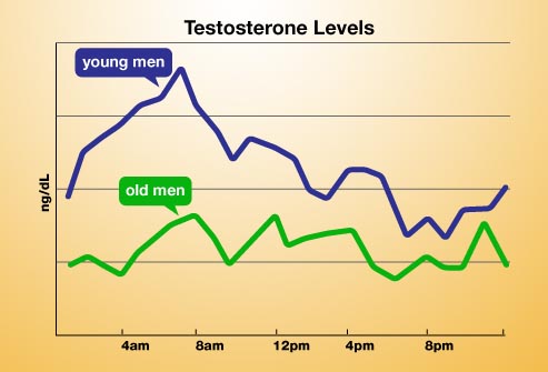 testosterone-levels