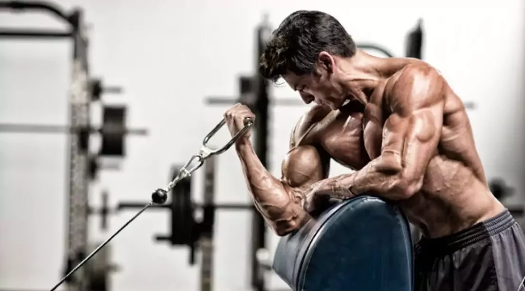 Buy Testo Blend 350 USA And Get An Amazing Body buy testo blend 350 usa