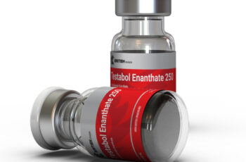 testabol enanthate 250