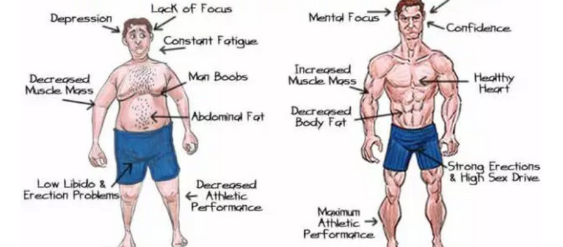 ways to increase testosterone